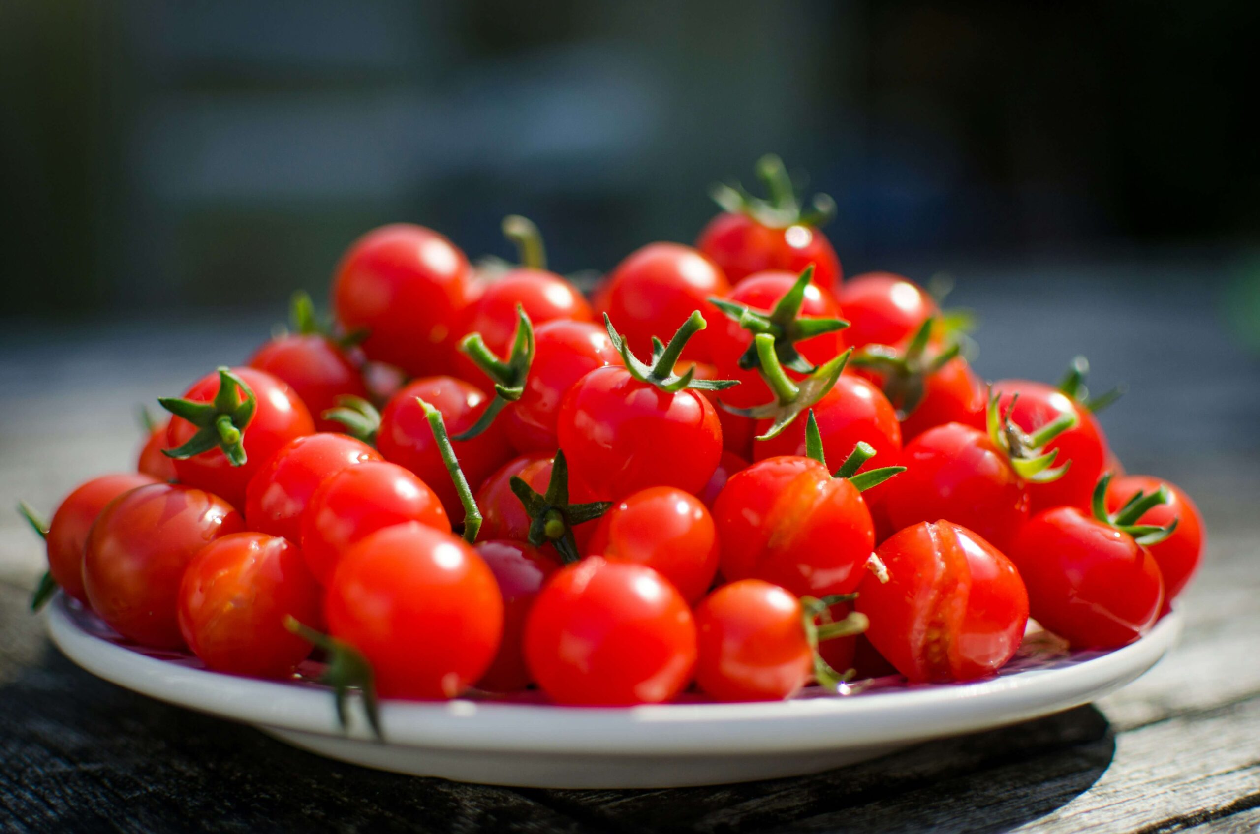 Best-Tasting Cherry Tomatoes