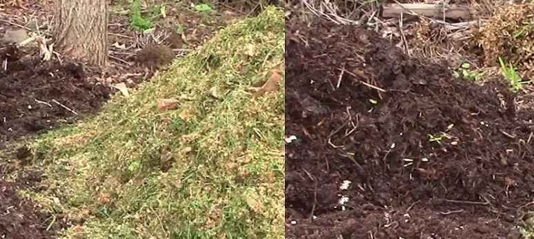 Compost pile