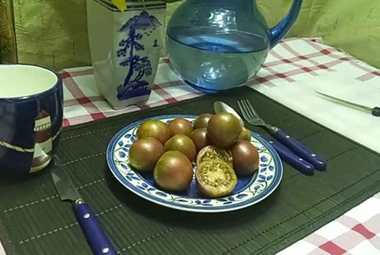 Violet Jasper Cherry Tomatoes