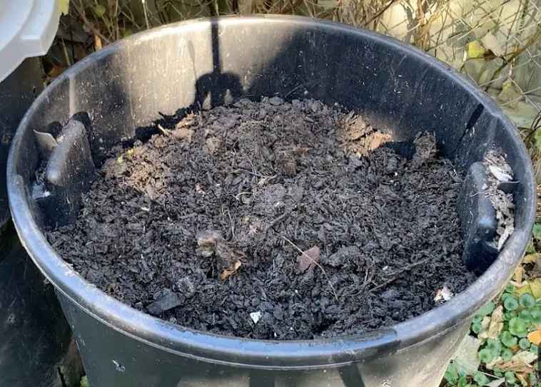 Best Compost for  Vegetable Garden