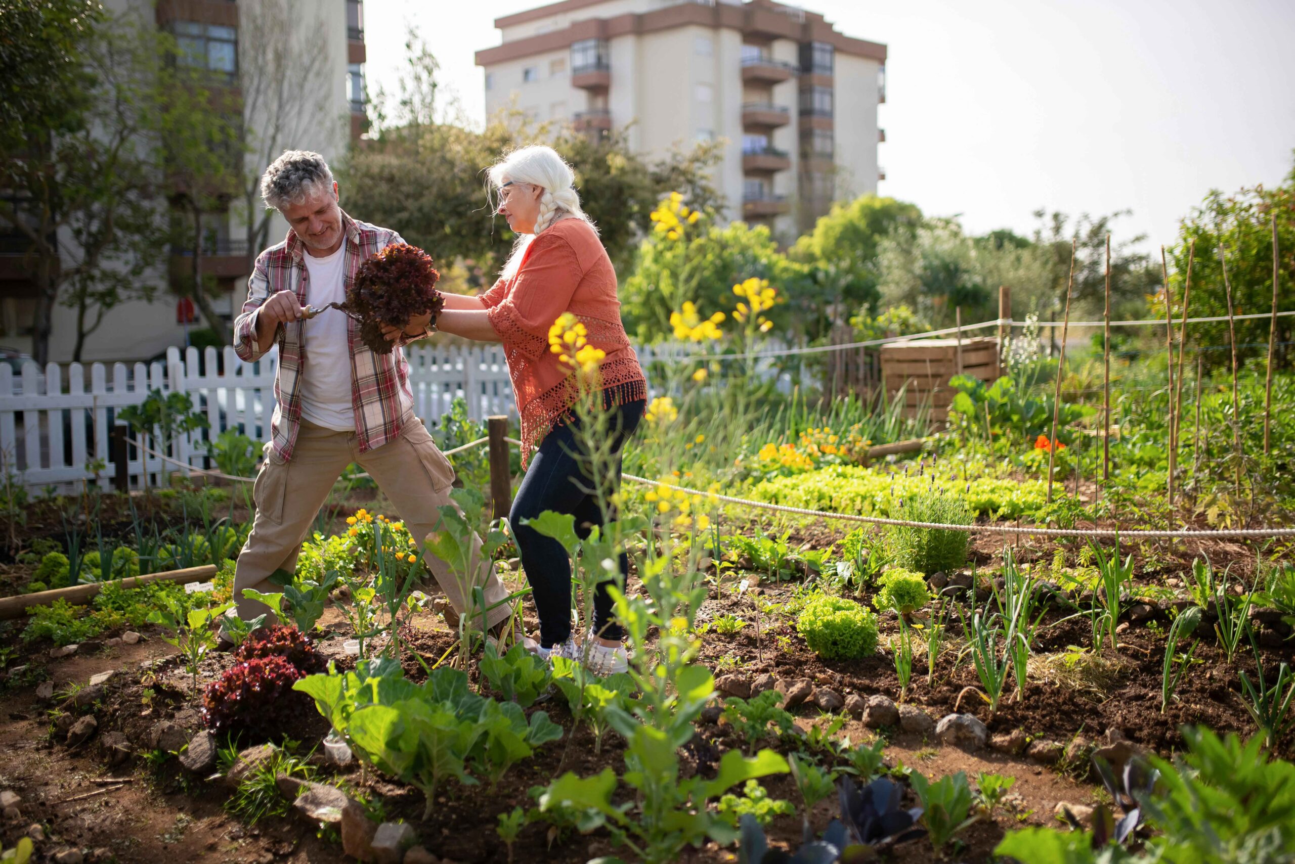 Fowers for vegetable garden