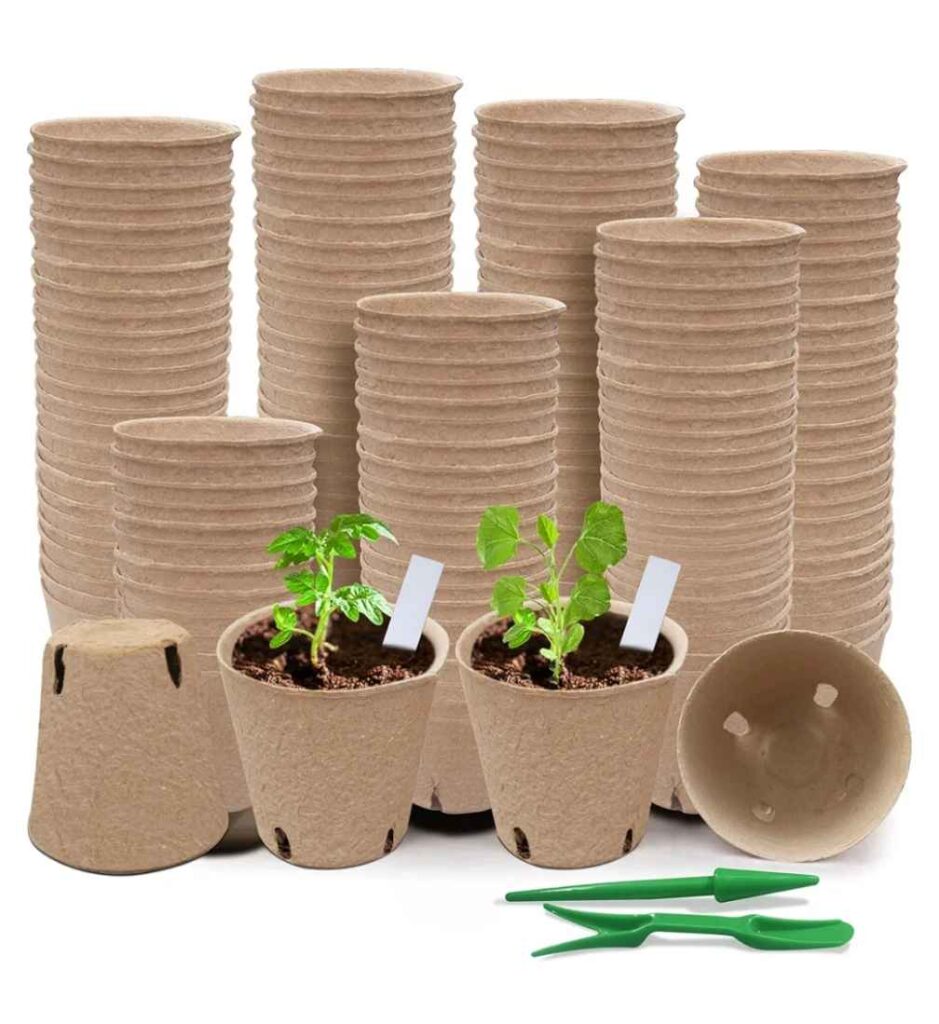 peat pots