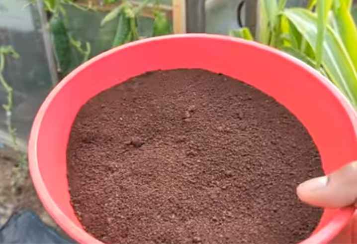  Homemade Fertilizer from coffee grounds