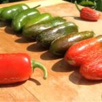 How to grow a jalapeno plant from seed