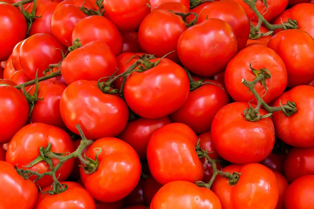 Tomatoes to Grow in a Raised Bed