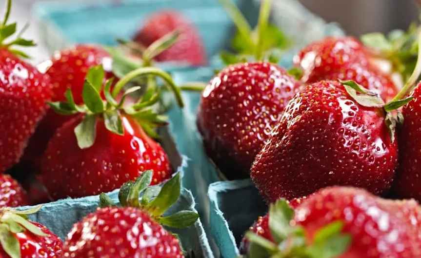 How to Plant a Strawberry Patch