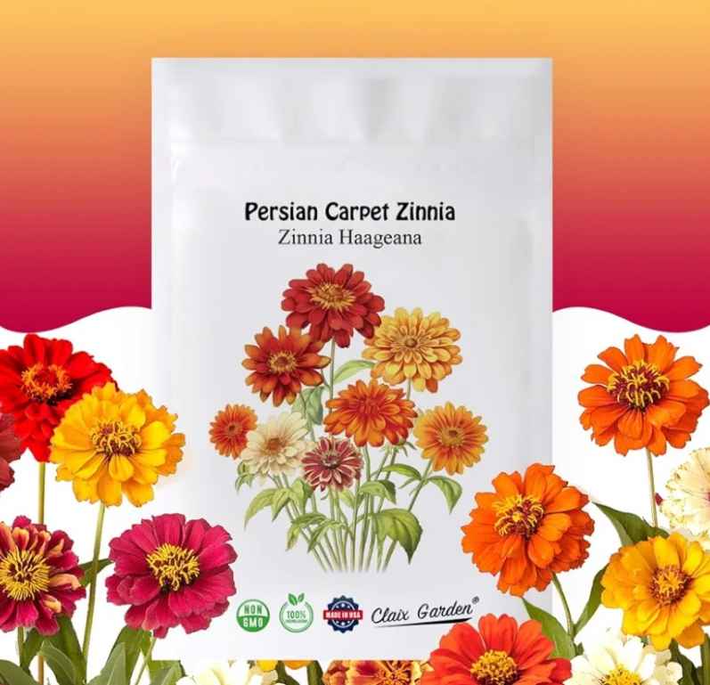 zinnias seeds