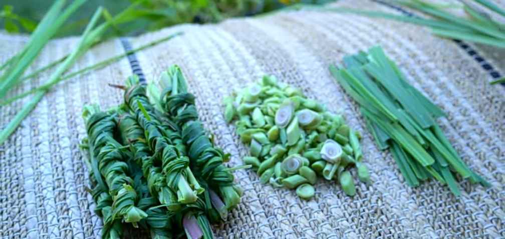 Lemongrass