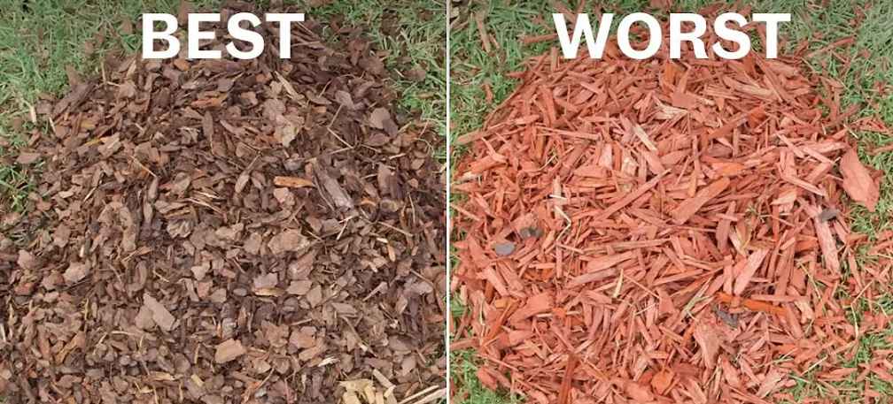 Best Mulch for Flower Beds in Every Season – Expert Recommendations