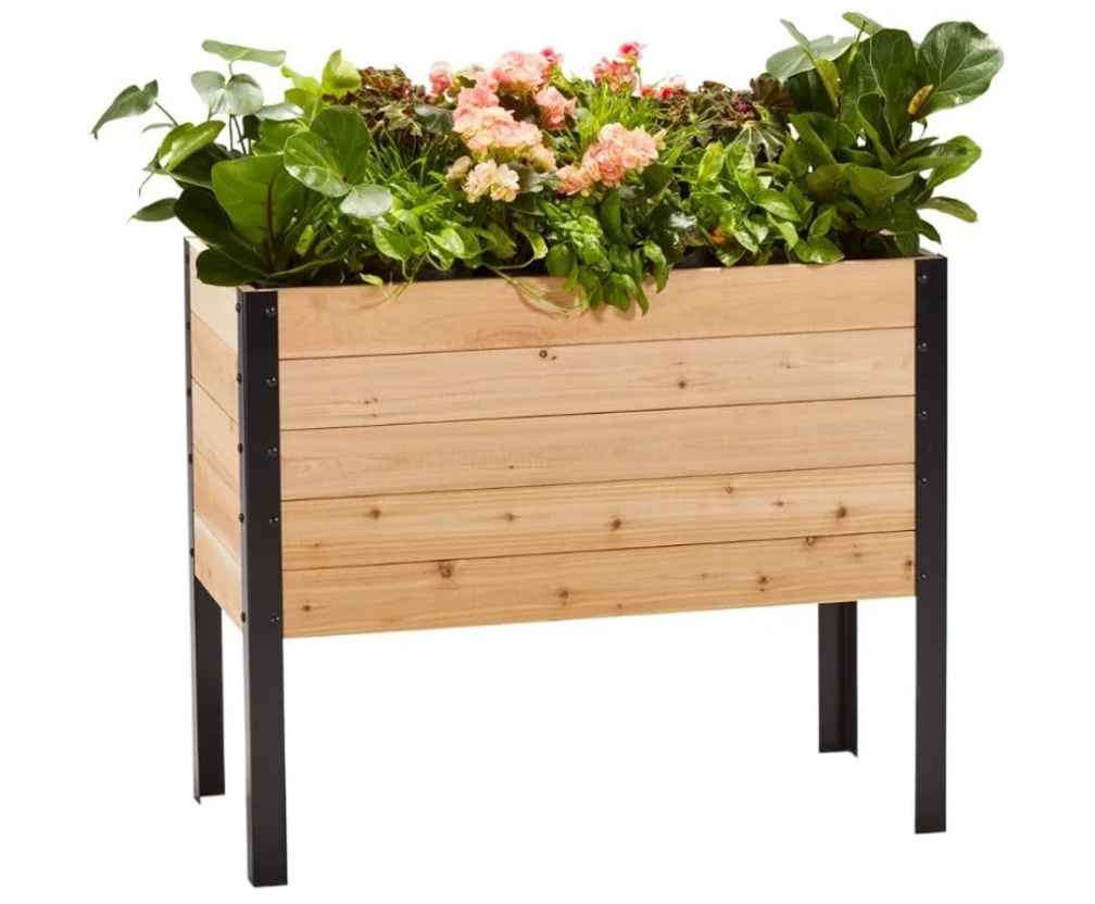 raised bed