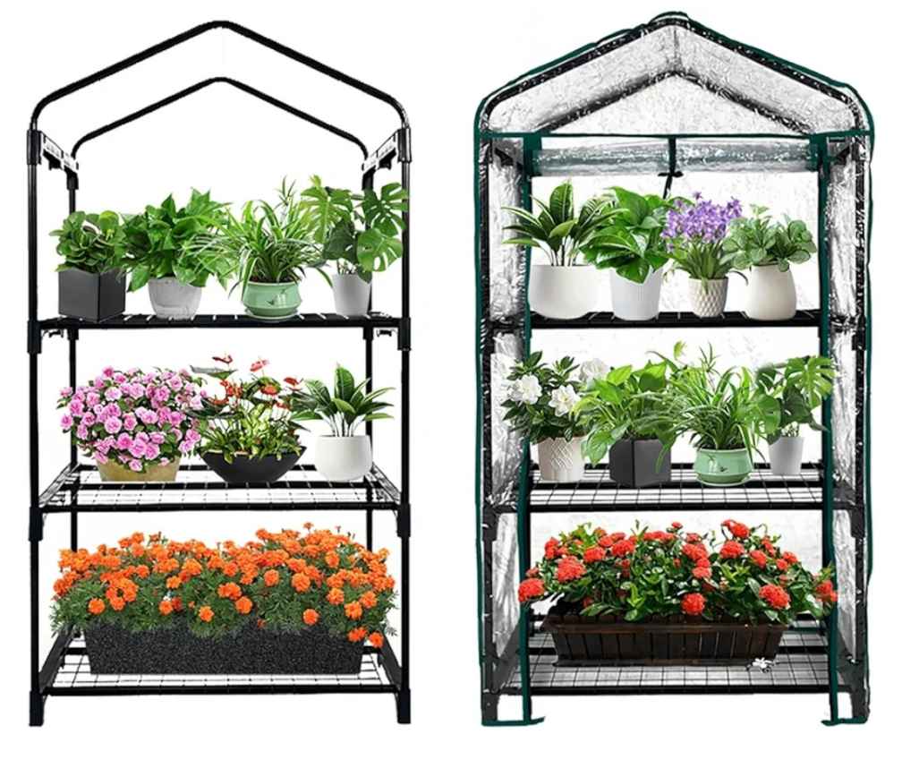 GreenGiggle Mini Greenhouse