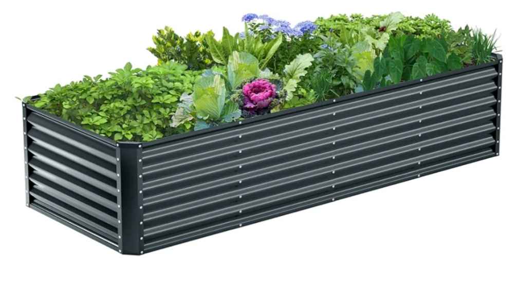 KING BIRD 2-Pack Beds
