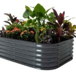 raised beds