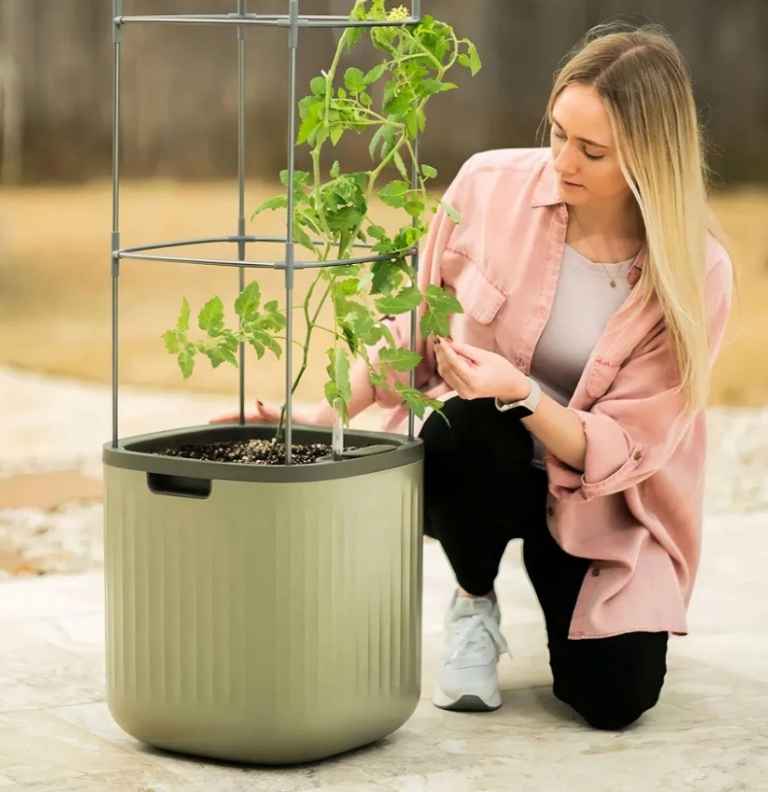 Vego Tomato Planter with Trellis & Wheels