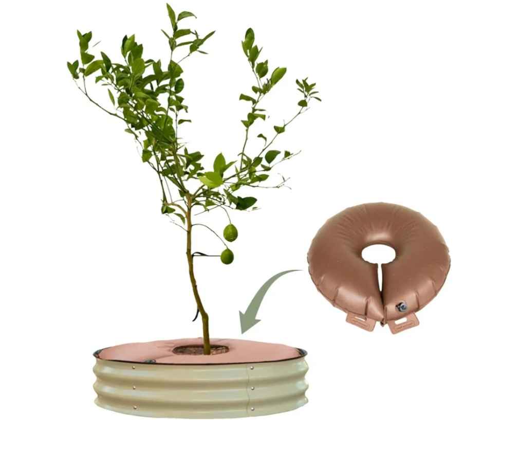 Vego Garden 8” Tree Ring with Watering Ring