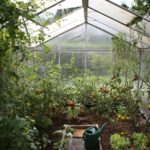 Best Greenhouses
