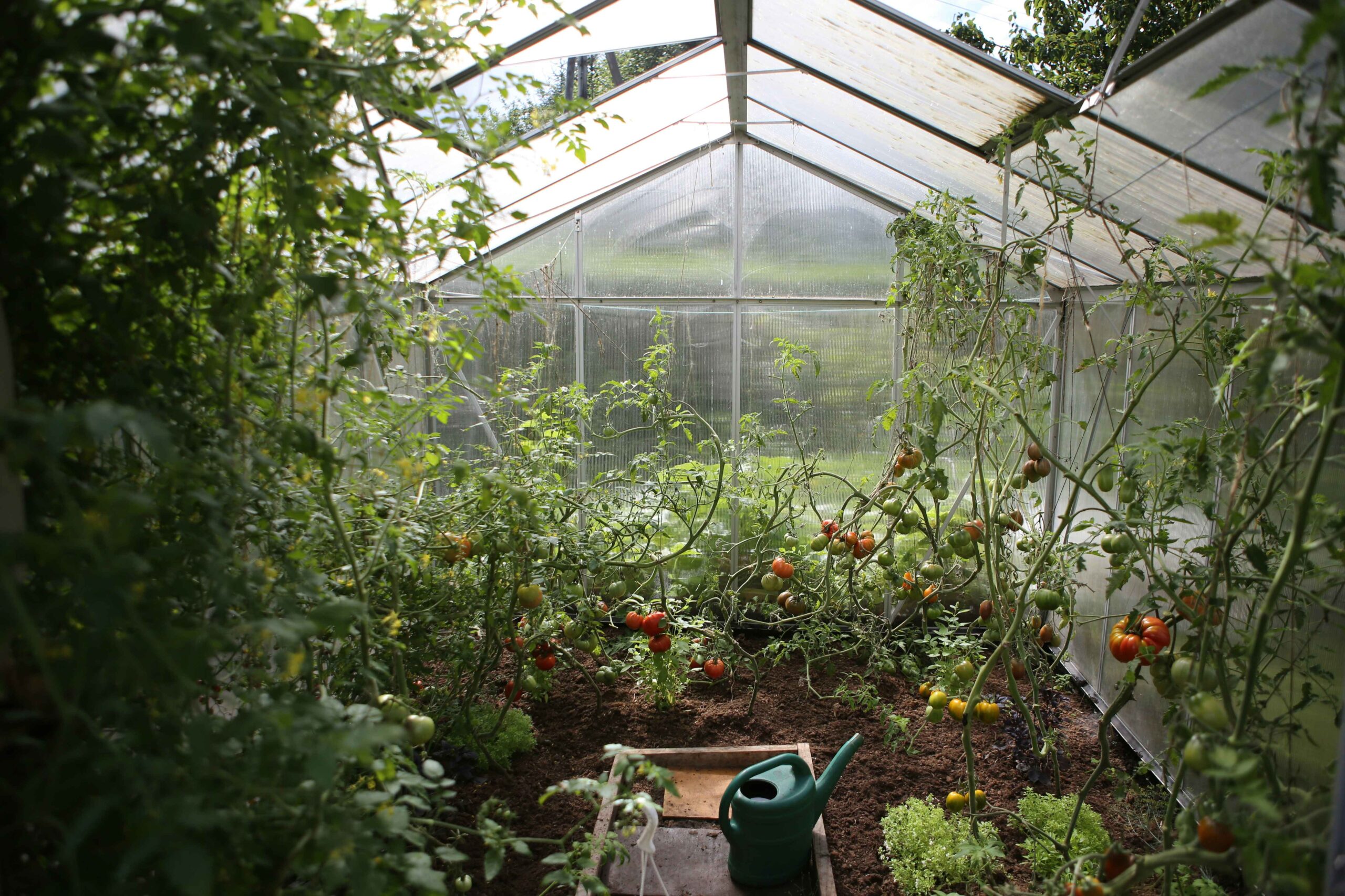 Best Greenhouses