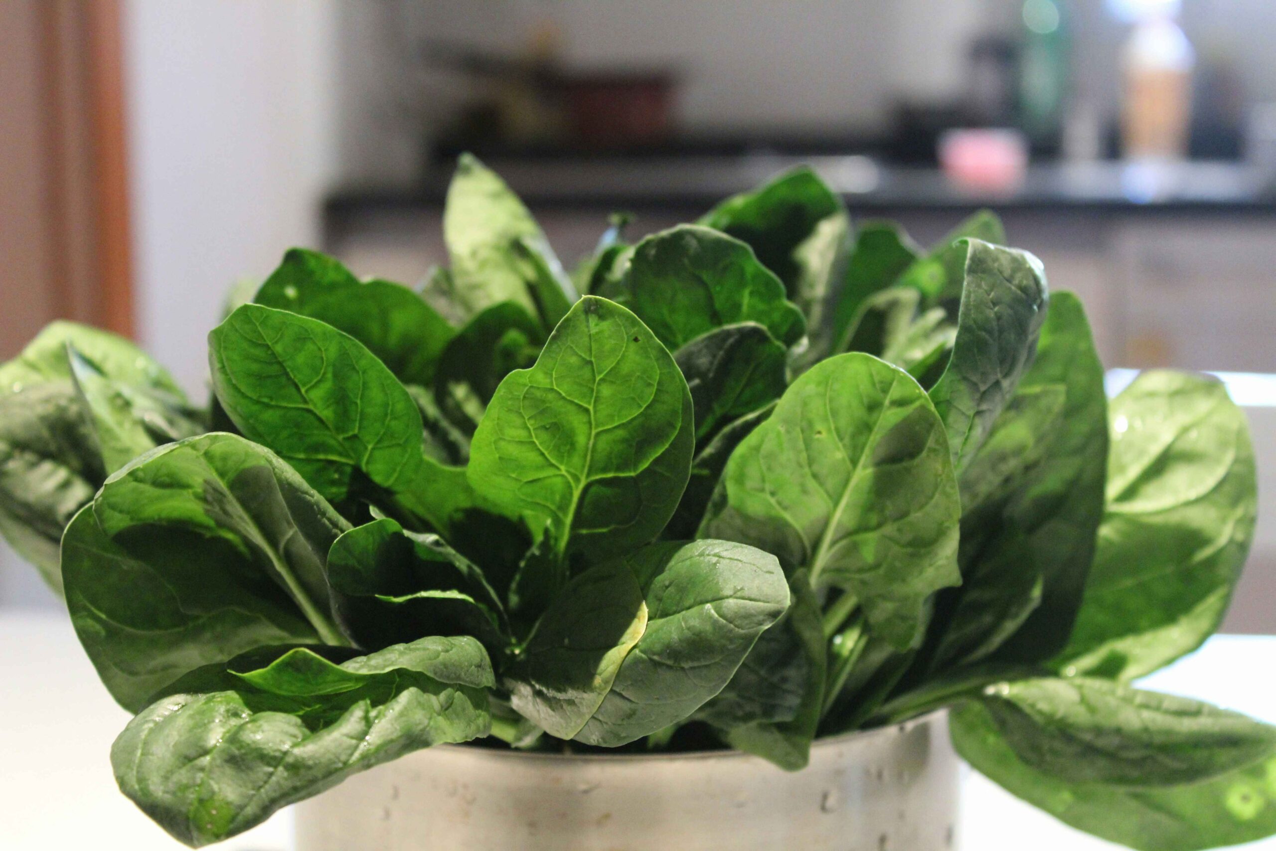 spinach companion plants